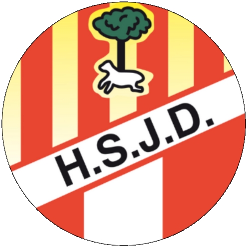 HANDBOL SANT JOAN DESPÃ B