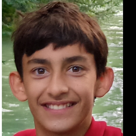 JAIME FERRANDO MADERNA