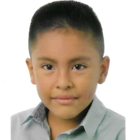 AIMAR CASTILLO SOLANO