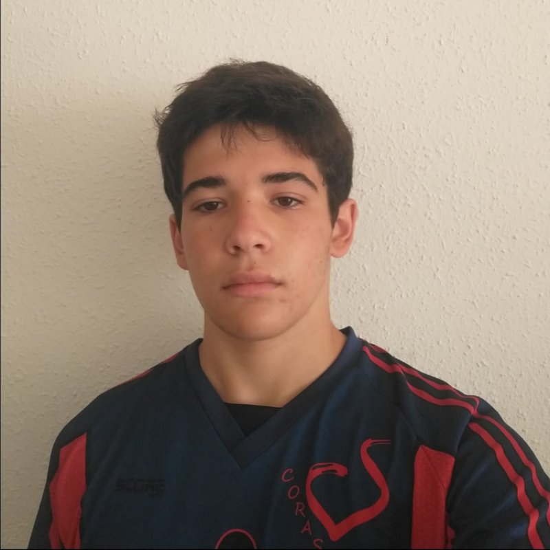 DANIEL ALVAREZ DE PANDO