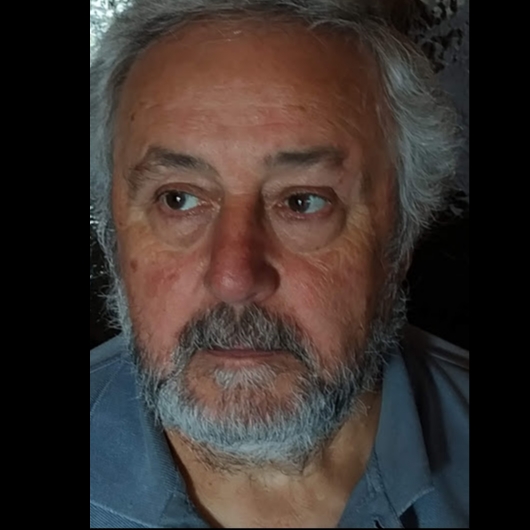 ALFONSO DARRIBA PRADO