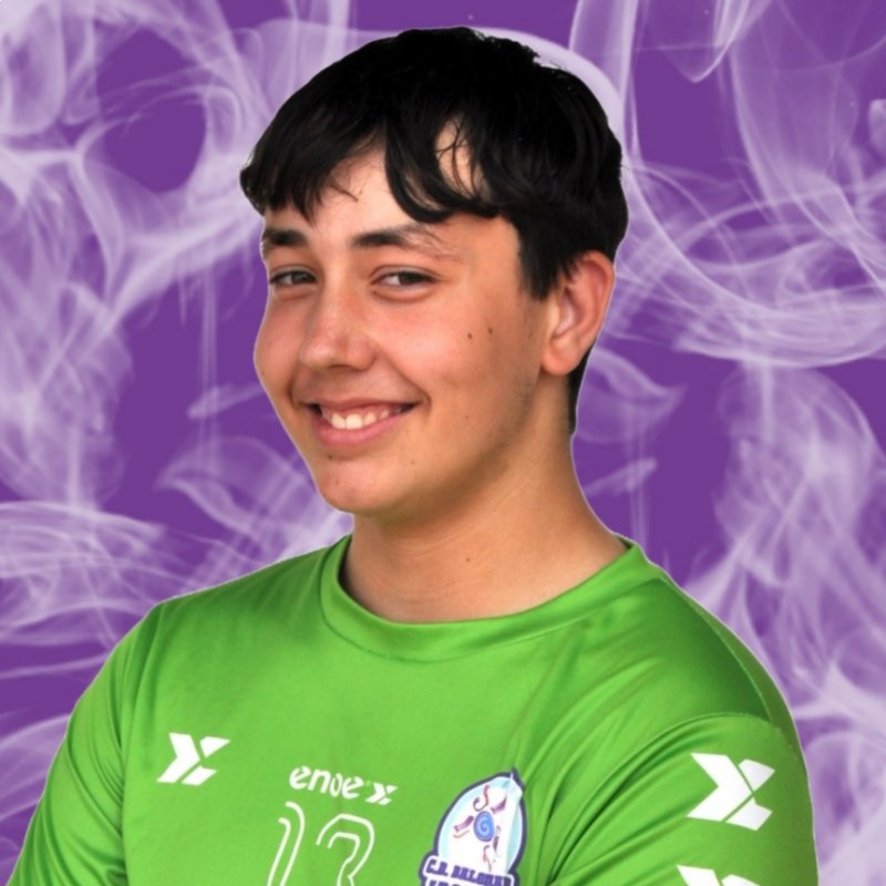 ALVARO ANTONIO ARIZA MONROY 