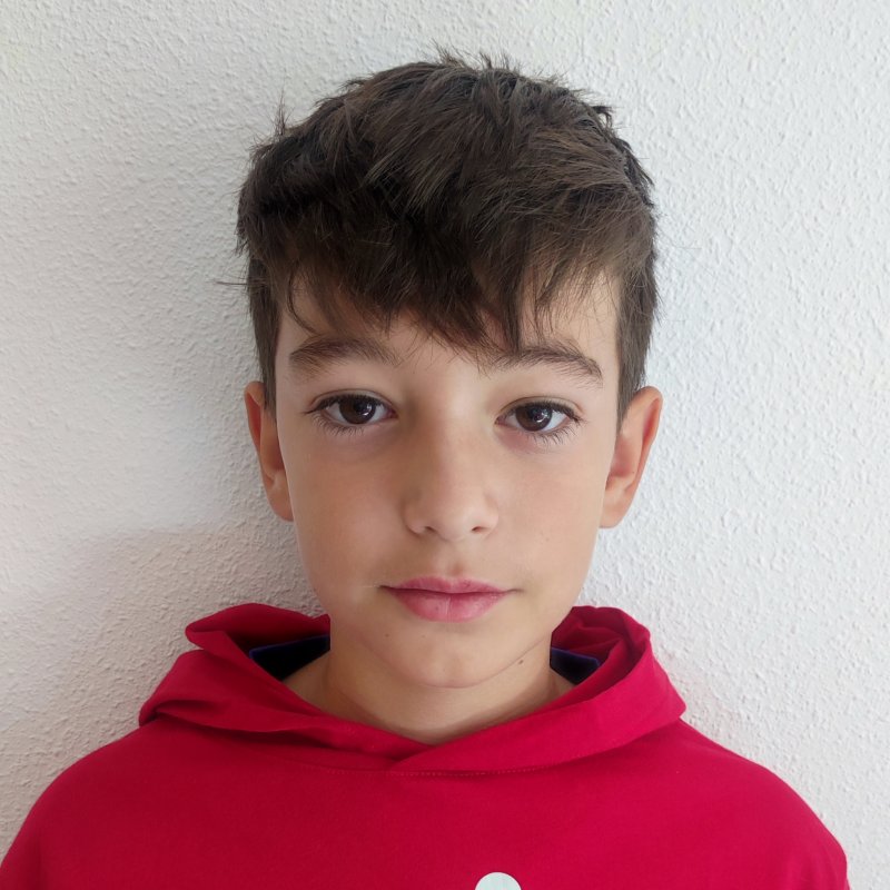 ANDRES POZUELO MEDRANO