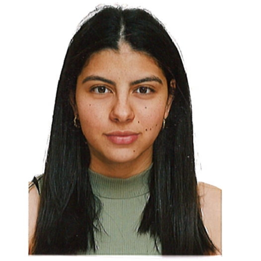 PAULA GARRIDO LAFUENTE