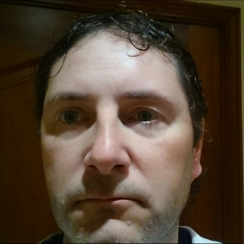 FRANCESC PLANAS OLIVE