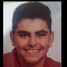 LLUIS AVILA NAVARRO