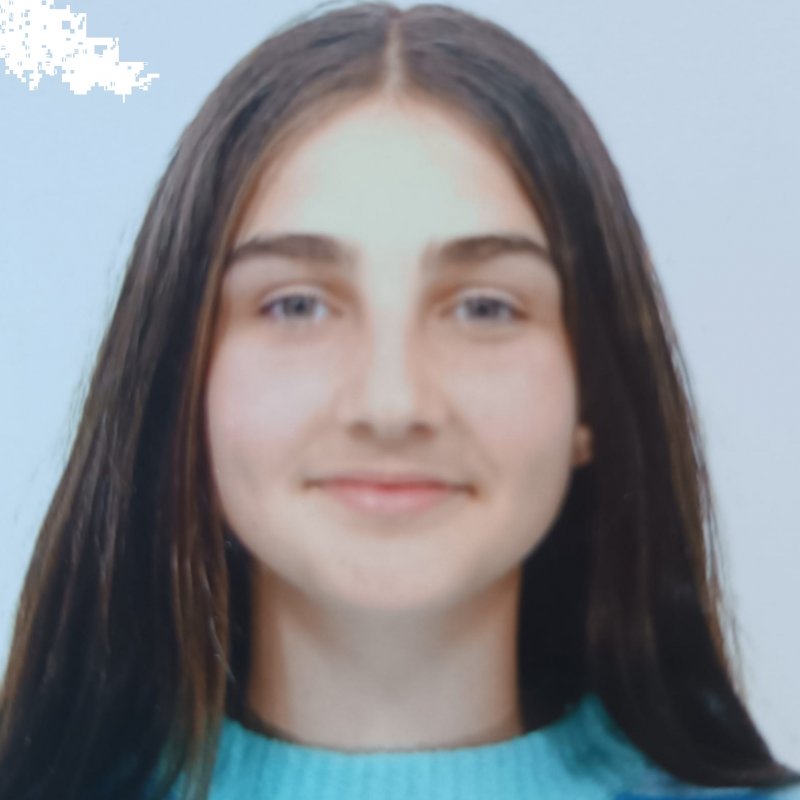 ANE PEÑAGARIKANO BERRETEAGA