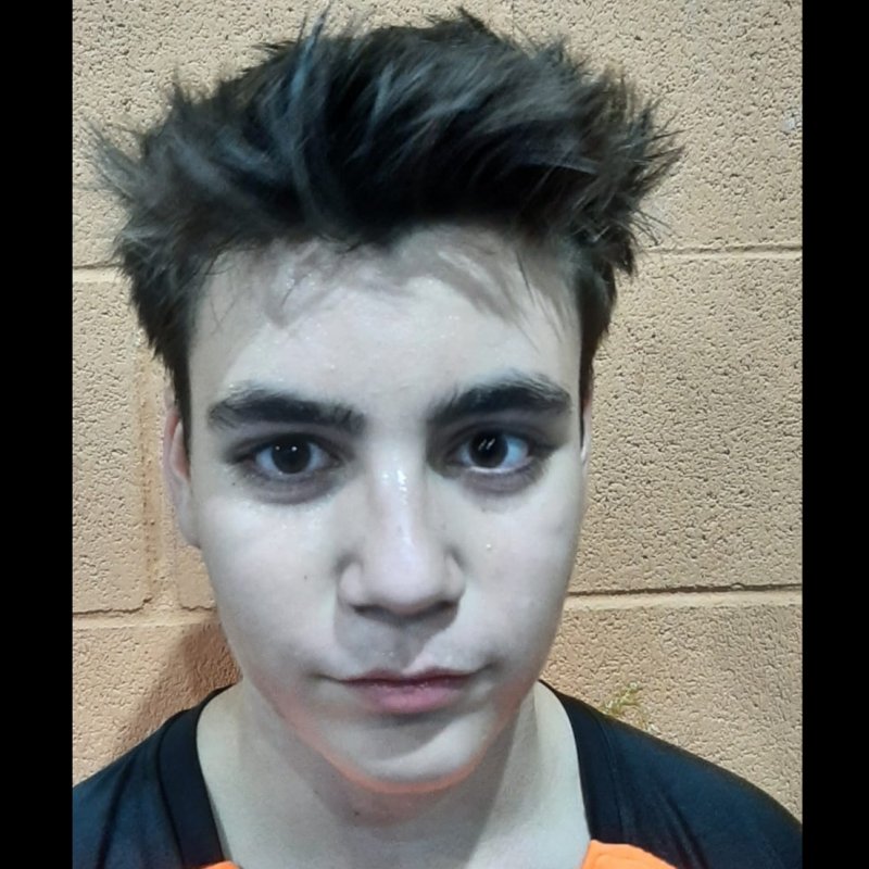 DOMINGO JESUS  RAMIREZ PEREZ