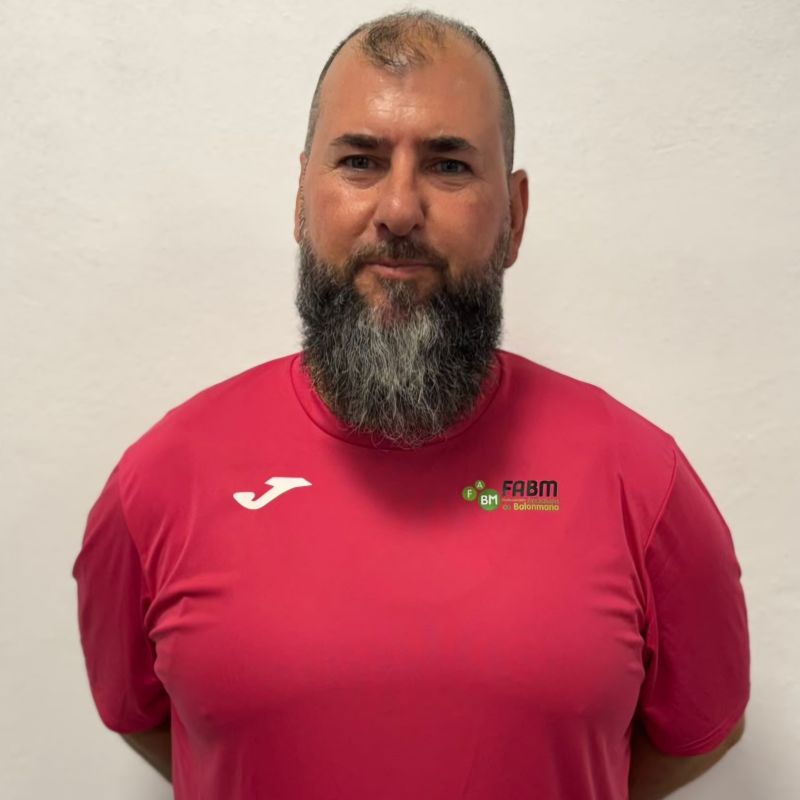 CARLOS MANUEL ALEÑA MOYA