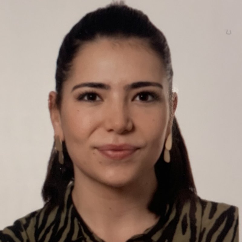ALBA DIAZ MARTINEZ