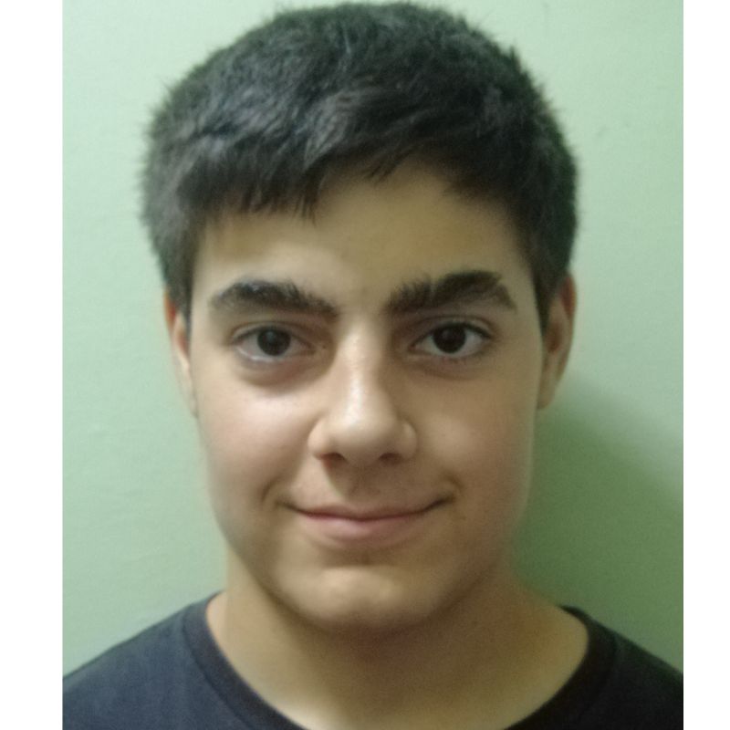 ANDRES AMENEIRO BARCIA