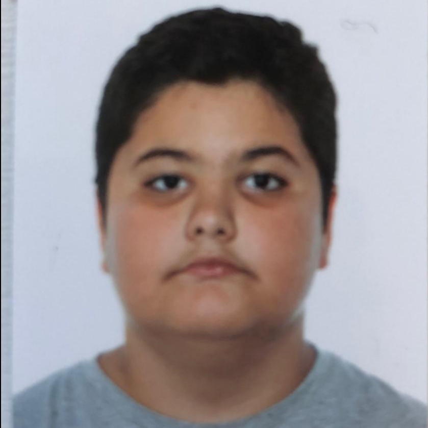 ANGEL  DAPENA ALEMAÑ