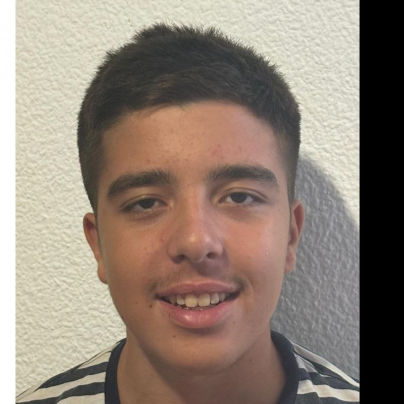 NESTOR SUAREZ HERNANDEZ