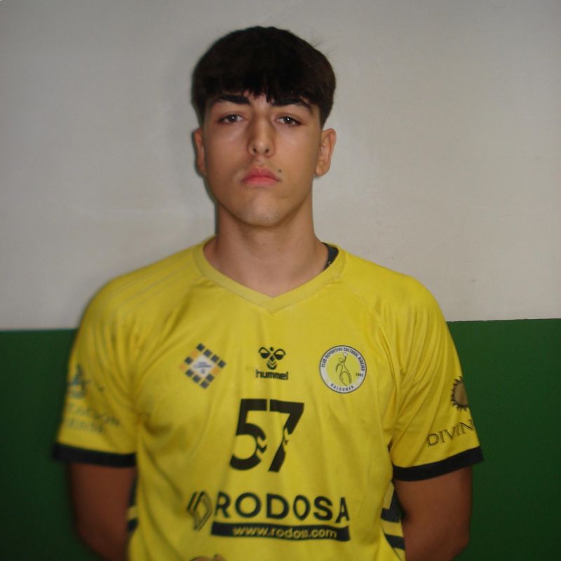 DENIS LORENZO ALVAREZ