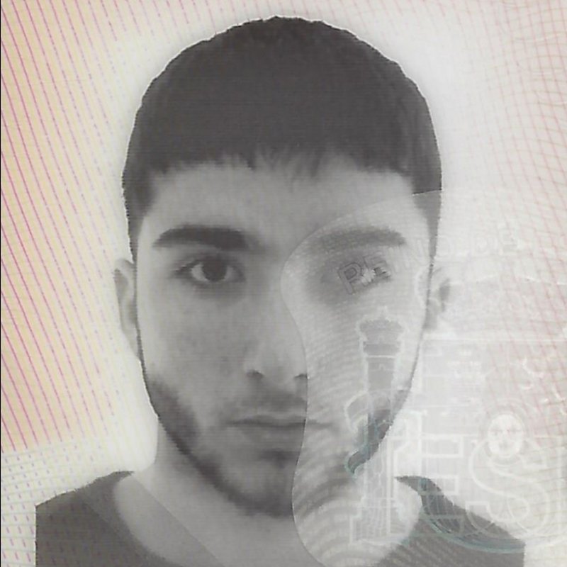 SAUC TIRADO FERNANDEZ