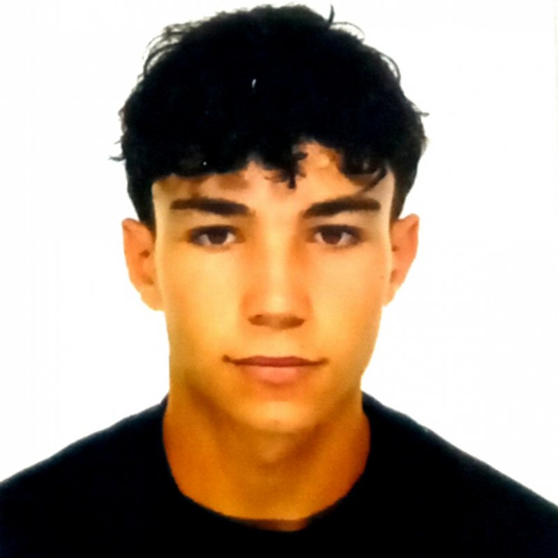 DARIO BOLADO RODRIGUEZ