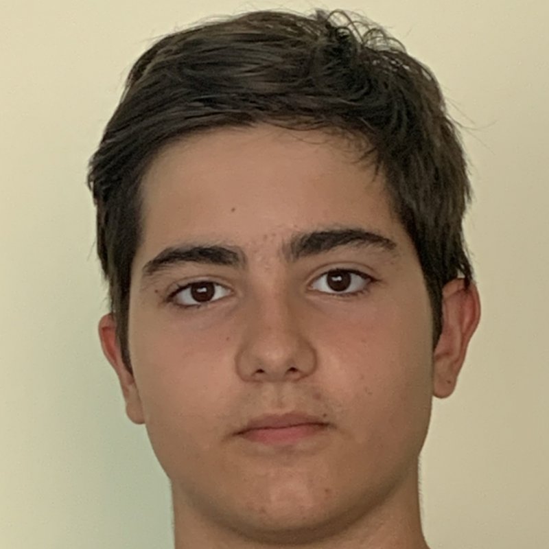 VICTOR MOLINA FIGUERA