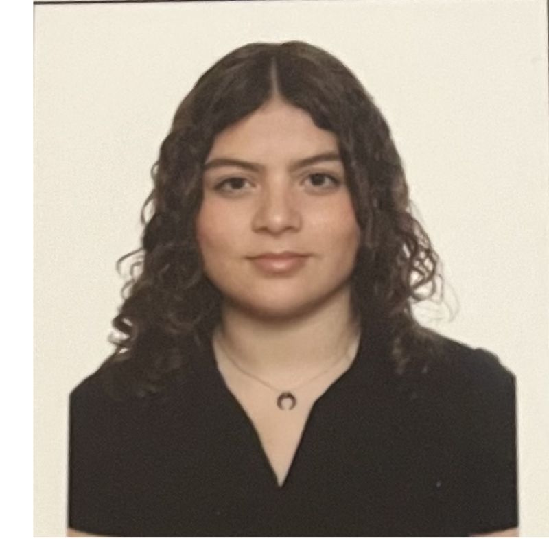 ALICIA HERNANDEZ COLINO