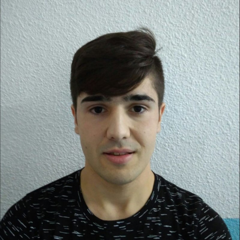 ENRIQUE FRESNEDA PORTILLO