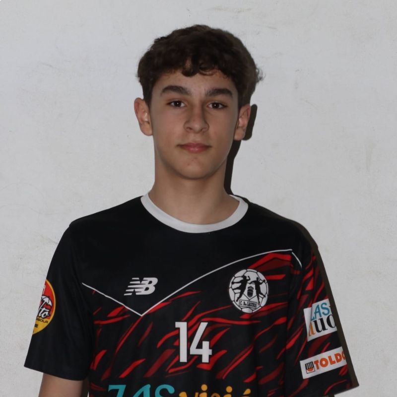 DAVID DEL POZO GOMEZ