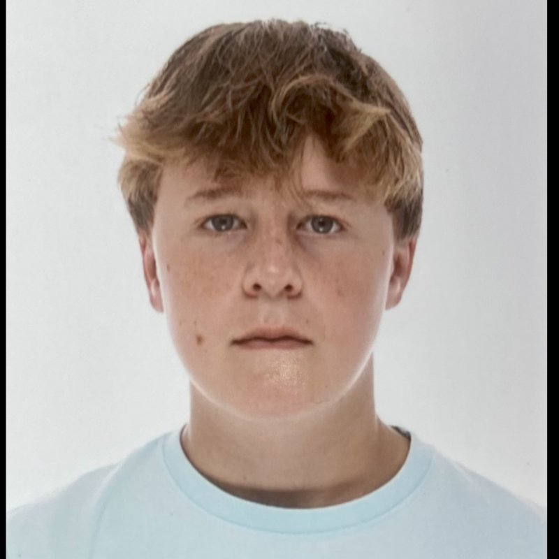 TELMO GUTIERREZ ALVAREZ