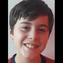 CARLOS VIÑOLES CHINESTA