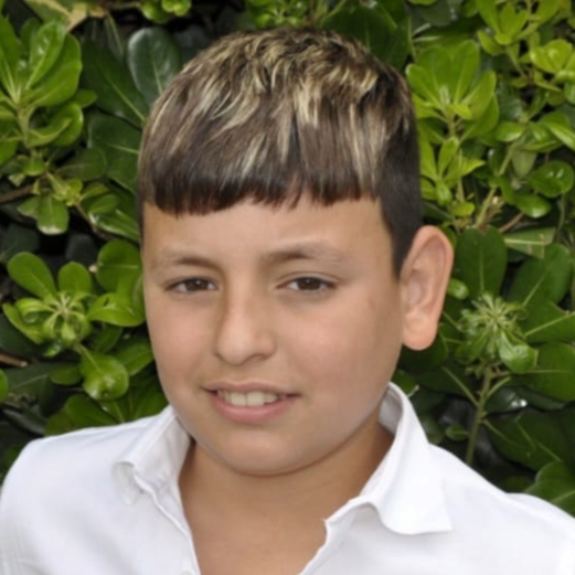 DANIEL SANTISTEBAN RODRIGO