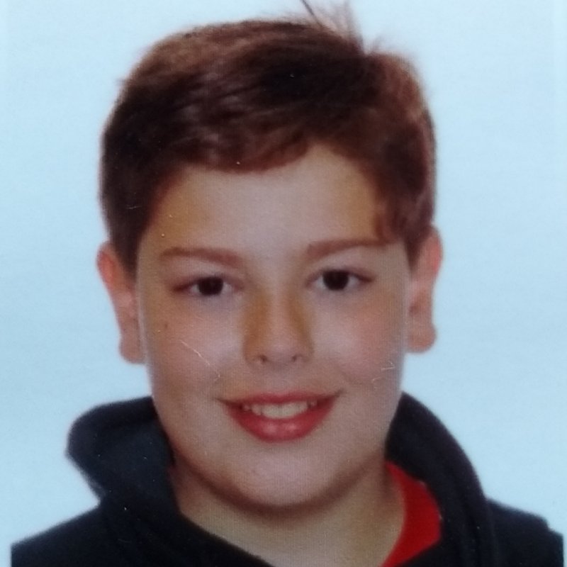 RAMON PUCHADES GONZALEZ