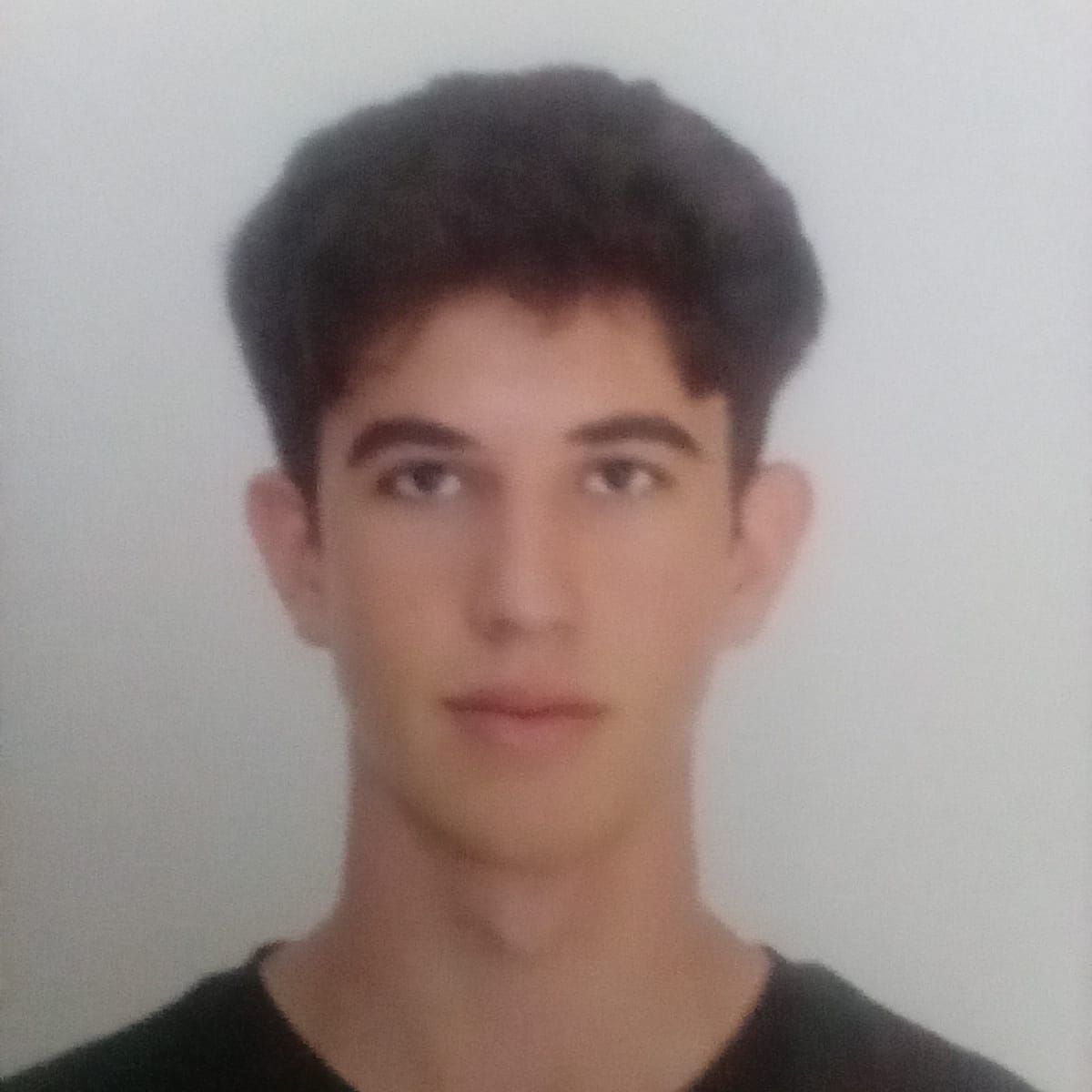 DANTE COMPANYS ALDEAMIL