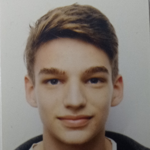 ERNESTO WOODWARD COMPANY