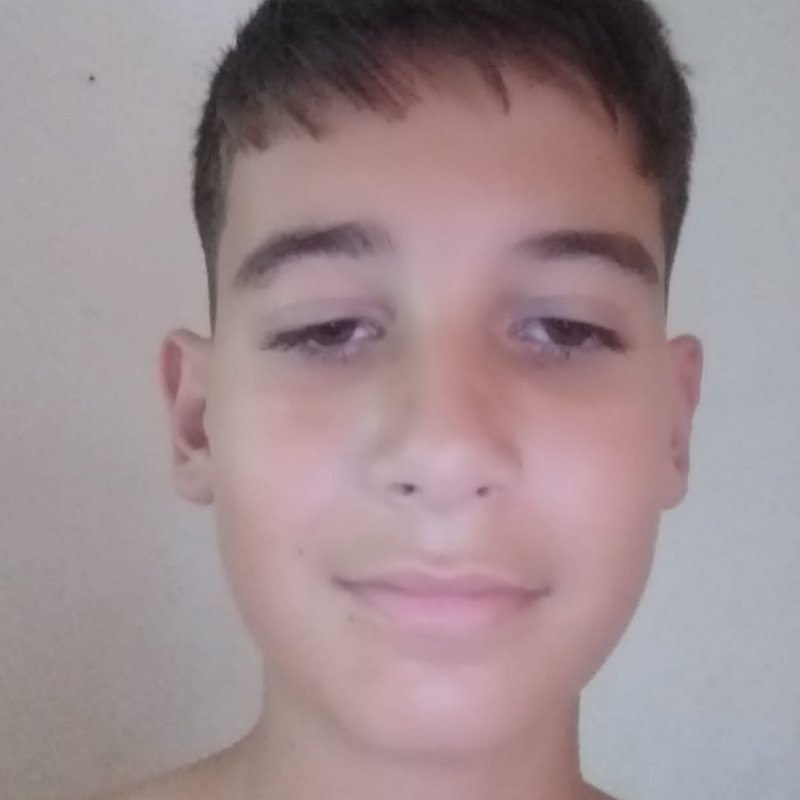 ELVIO JOSE CUBILLAS STOICA