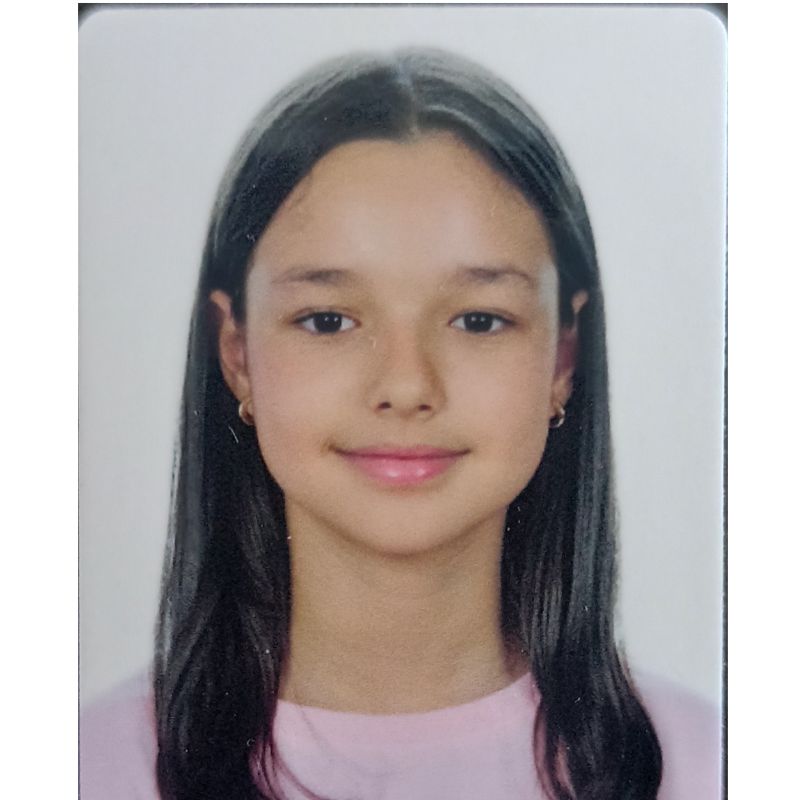 IRENE CERRILLO GOMEZ