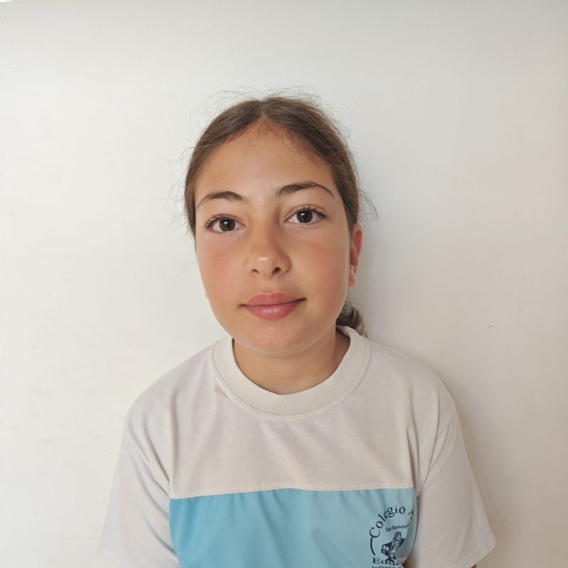 ARAYA LLARENA ROMERO