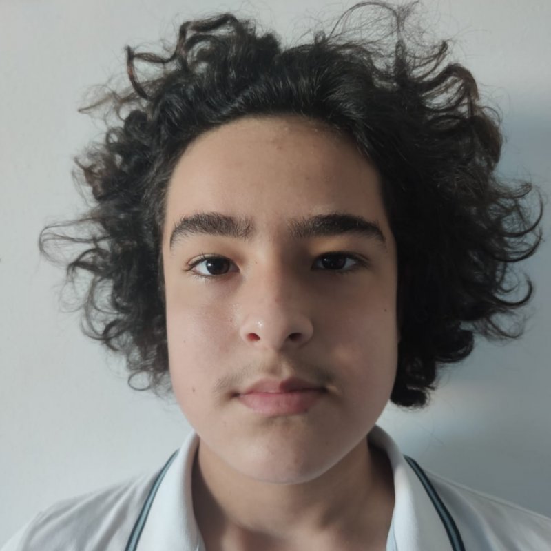 SALVADOR IGNACIO ARAUJO ENRECH