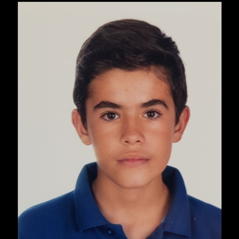 DANIEL PALOMINO DE LA OSA