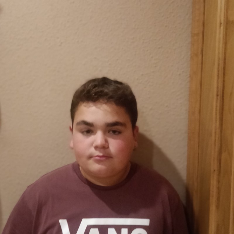 MIKEL VILLAMEA SARALEGUI