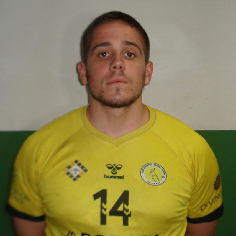 NICOLAS VIZCAYA GOMEZ