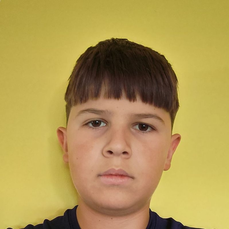 GABRIEL OCTAVIAN VIRTEJ