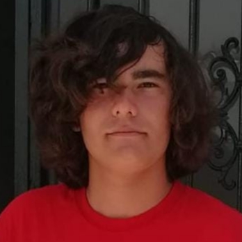 FERNANDO CORRALES LOPEZ 