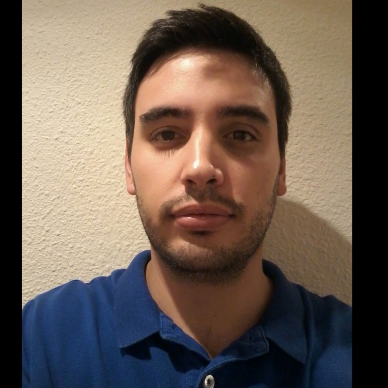 DAVID MOLINER MONTES