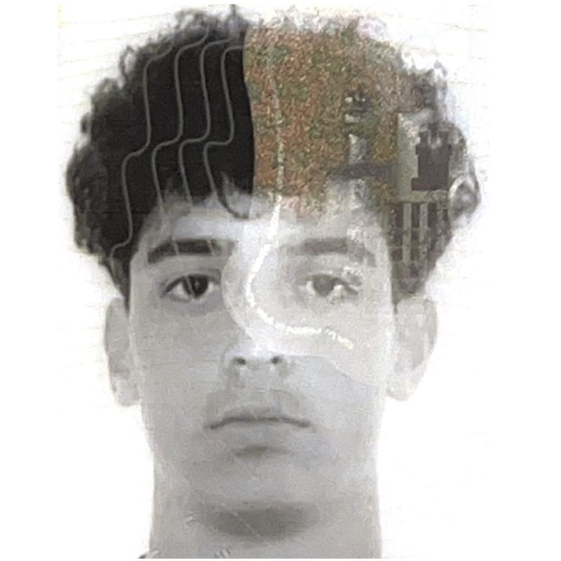 LLUIS HUELVES PICAÑOL