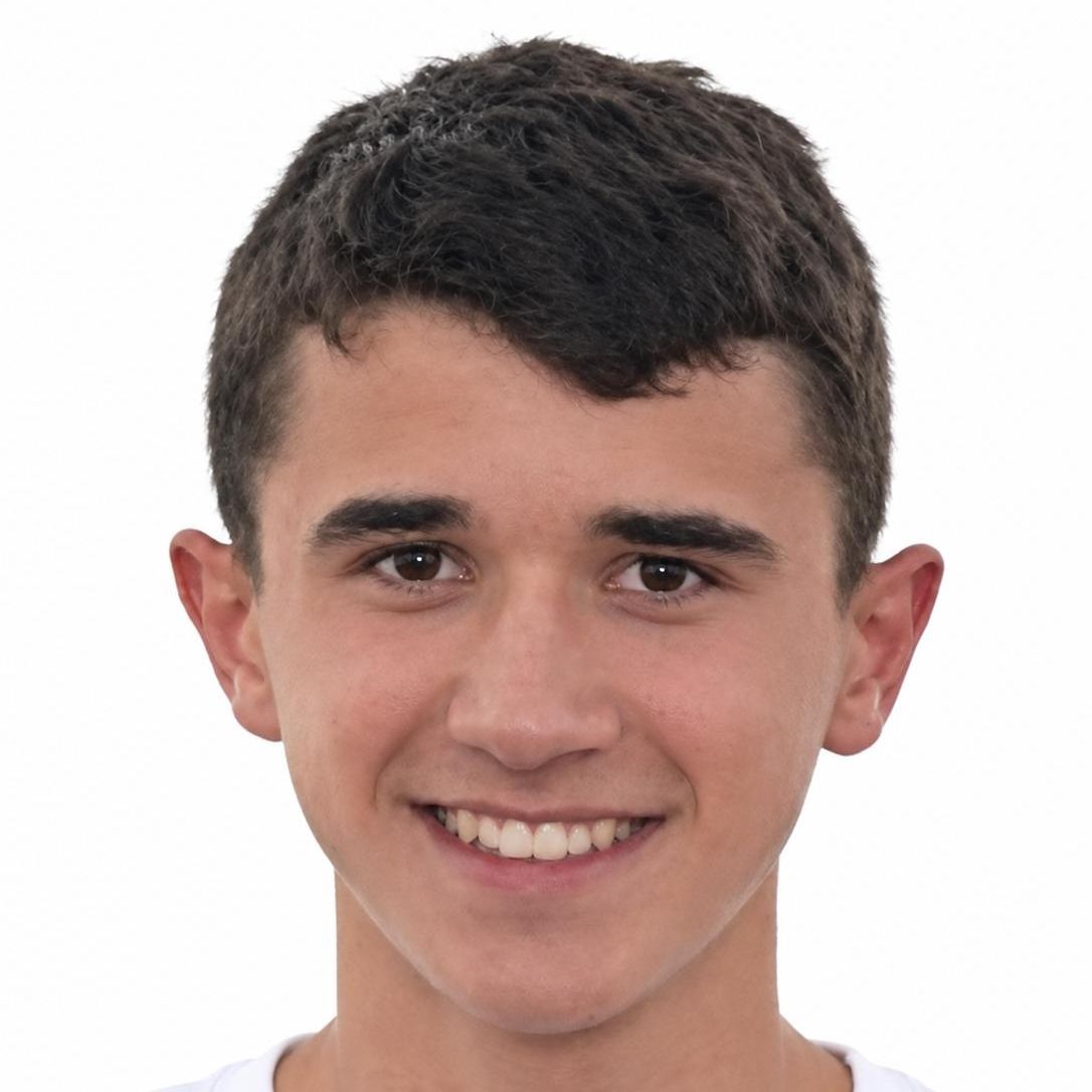 DIEGO  BARCENA FRAILE