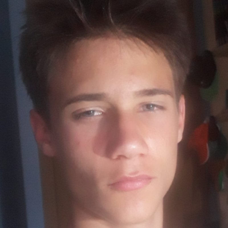 DANIEL SALAS MARTINEZ