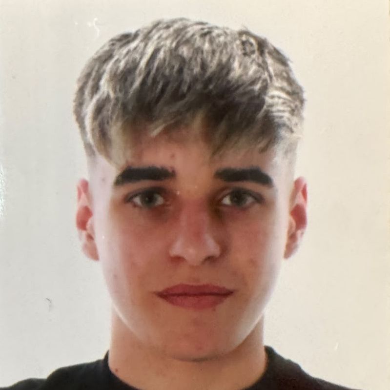 ARNAU PONZ PINILLA