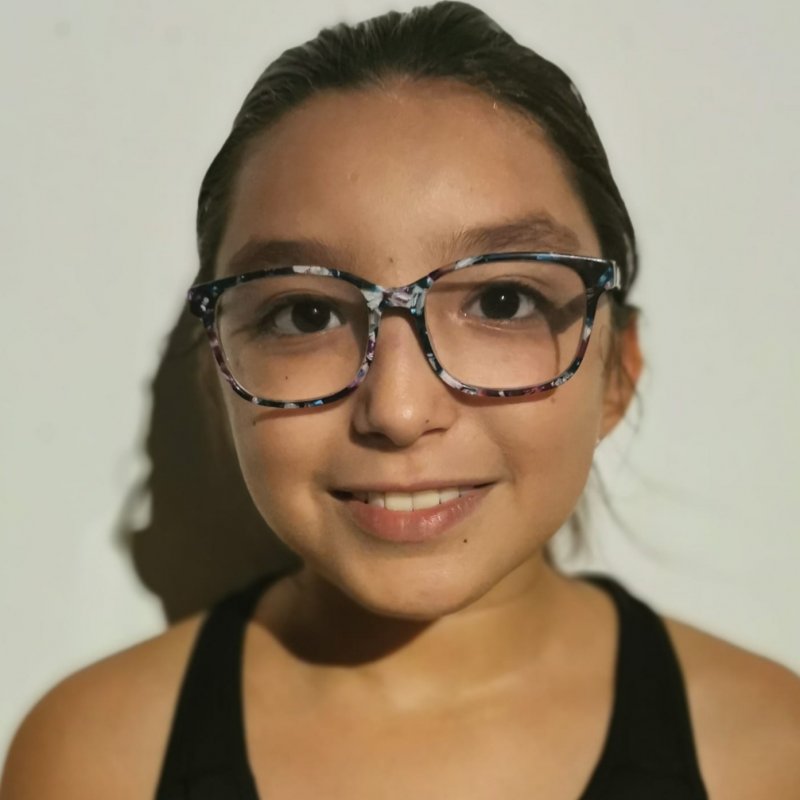 DIANA  ALCANTARA SOSA