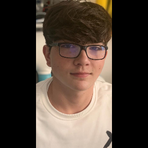 ALONSO ALARCON FERNANDEZ