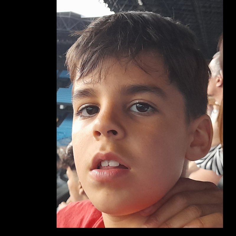 MARCIAL DE LA FUENTE JANSEN