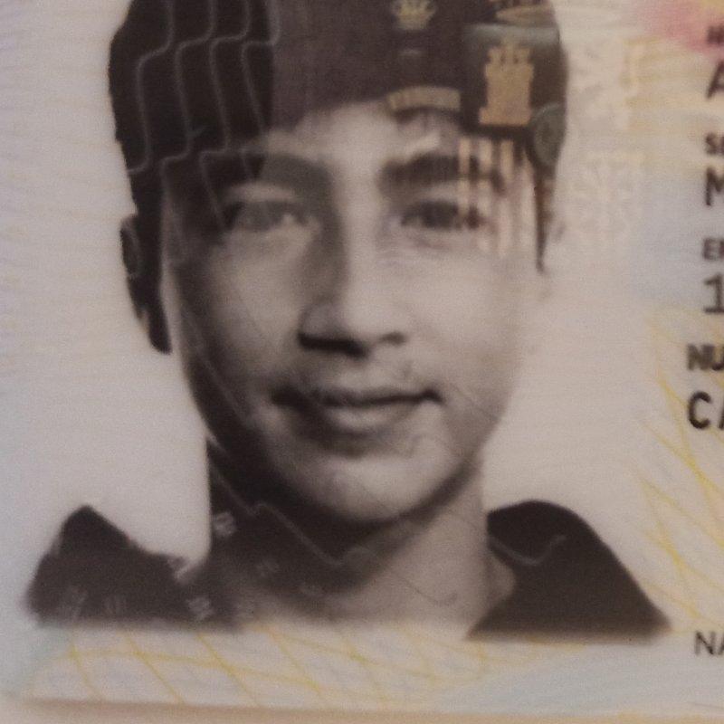 ALVARO  PLATERO TENA