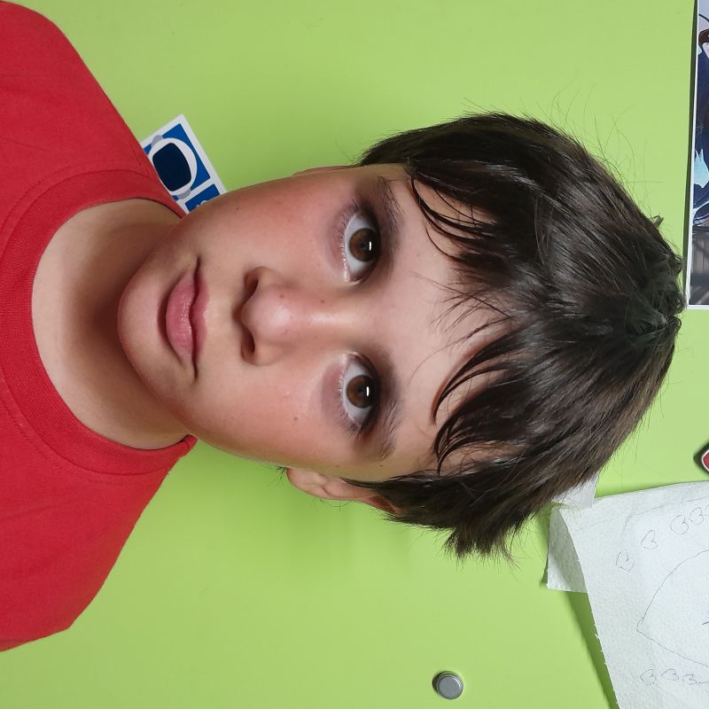 ESTANISLAU MARTINEZ CAPARROS