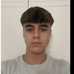 MANUEL CARRION FUENTES